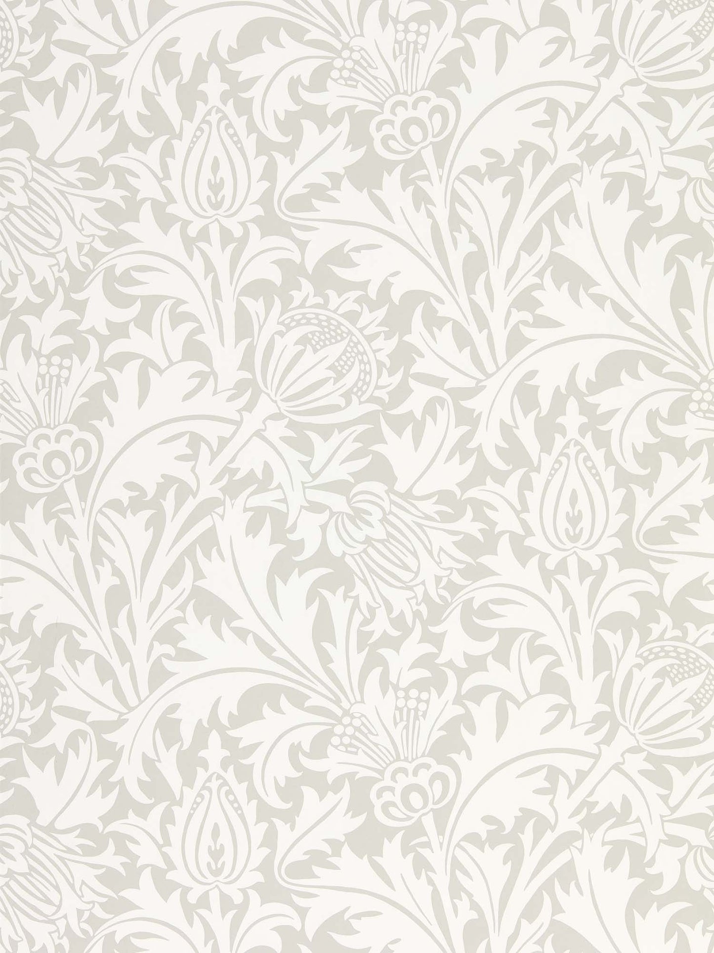 壁紙 Pure Thistle 216551 PURE NORTH