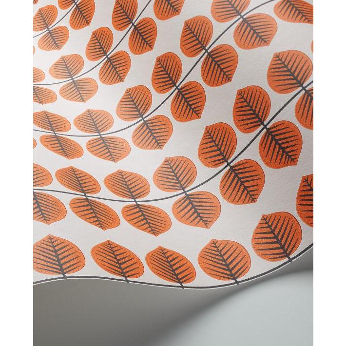 壁紙 BERSA ベルサ 品番:SBT-1750,SBT-1751,SBT-1752,SBT-1753,SBT-1754 ボラスタペーター