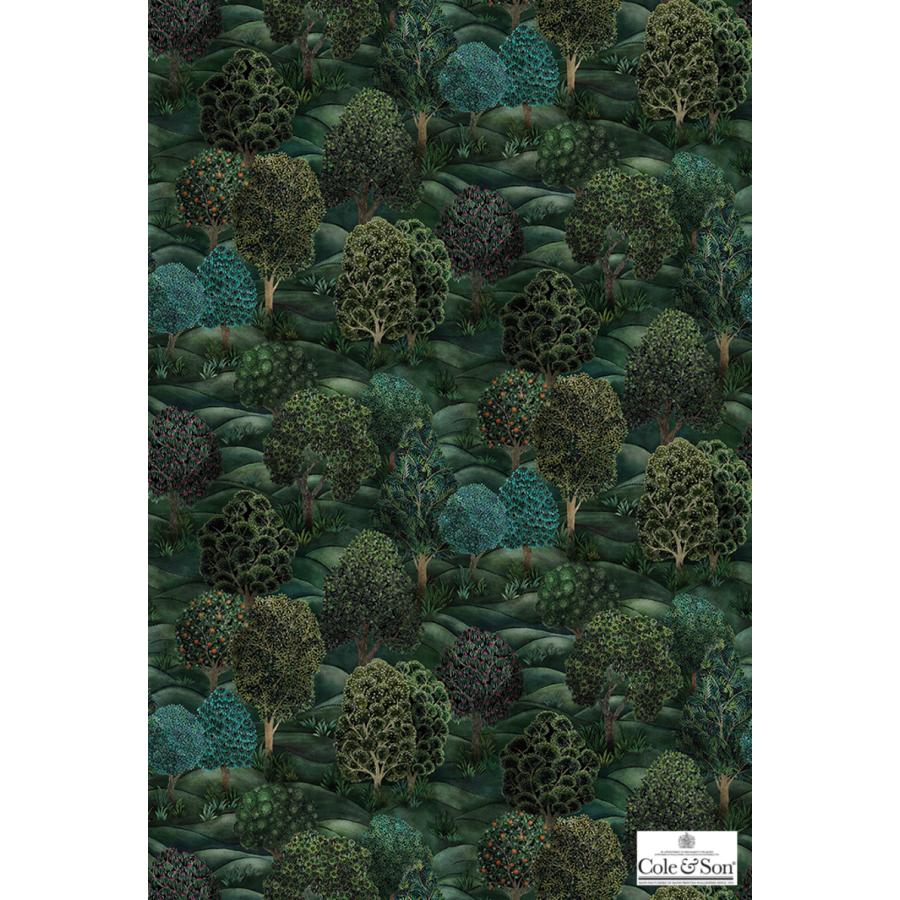 森 フォレスト イギリス 英国 ボタニカル Cole&Son コール&サン 115/9028 テシード 70cm巾