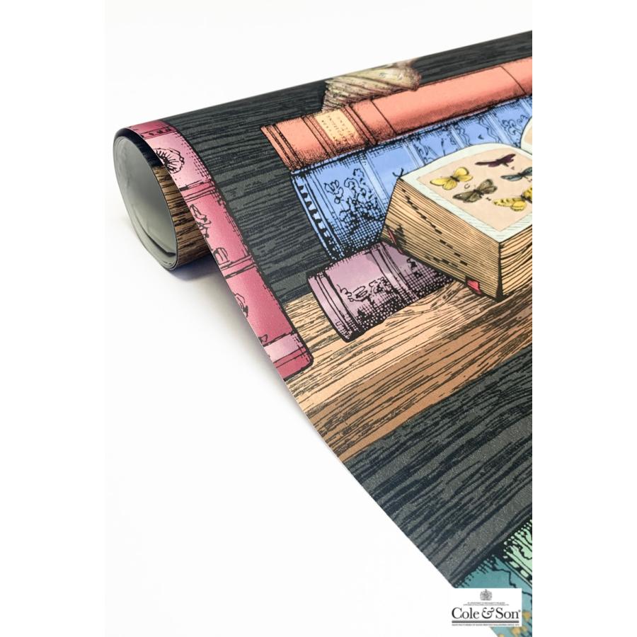 本棚柄 ブックスタンド 洋書柄 イタリア フォルナセッティ Cole&Son コール&サン 114/13025 テシード