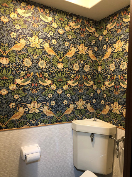 みんなはトイレにどんな壁紙貼ってるの？？