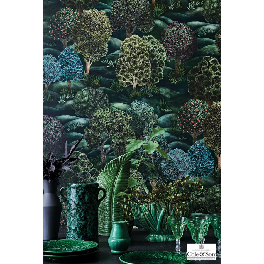 森 フォレスト イギリス 英国 ボタニカル Cole＆Son コール&サン 115/9028 テシード 70cm巾