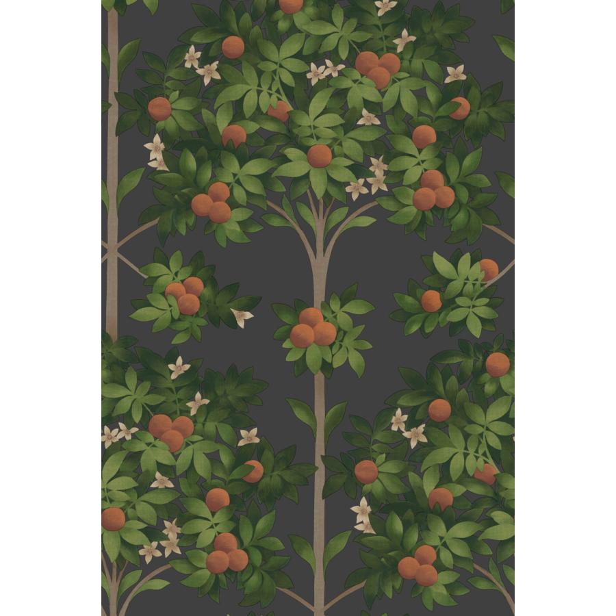 建物柄 スペイン オレンジの木 ボタニカル アンダルシア Cole＆Son コールアンドサン 貼り換え リノベ DIY 自分で 不織布 テシード 短納期