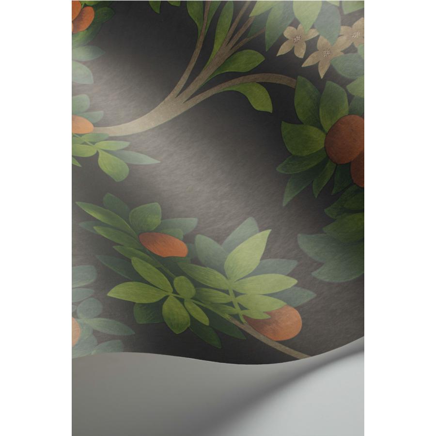 建物柄 スペイン オレンジの木 ボタニカル アンダルシア Cole＆Son コールアンドサン 貼り換え リノベ DIY 自分で 不織布 テシード 短納期