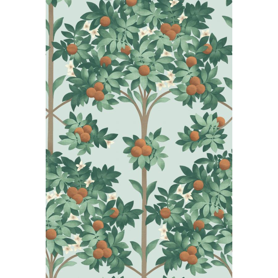 建物柄 スペイン オレンジの木 ボタニカル アンダルシア Cole＆Son コールアンドサン 貼り換え リノベ DIY 自分で 不織布 テシード 短納期