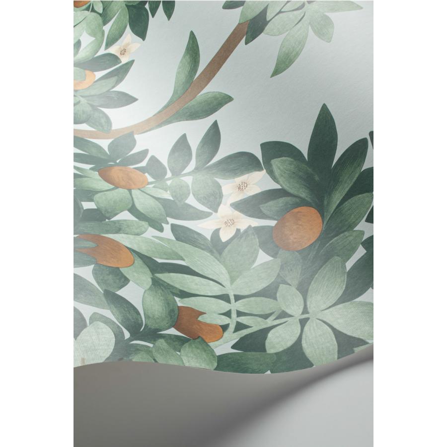 建物柄 スペイン オレンジの木 ボタニカル アンダルシア Cole＆Son コールアンドサン 貼り換え リノベ DIY 自分で 不織布 テシード 短納期