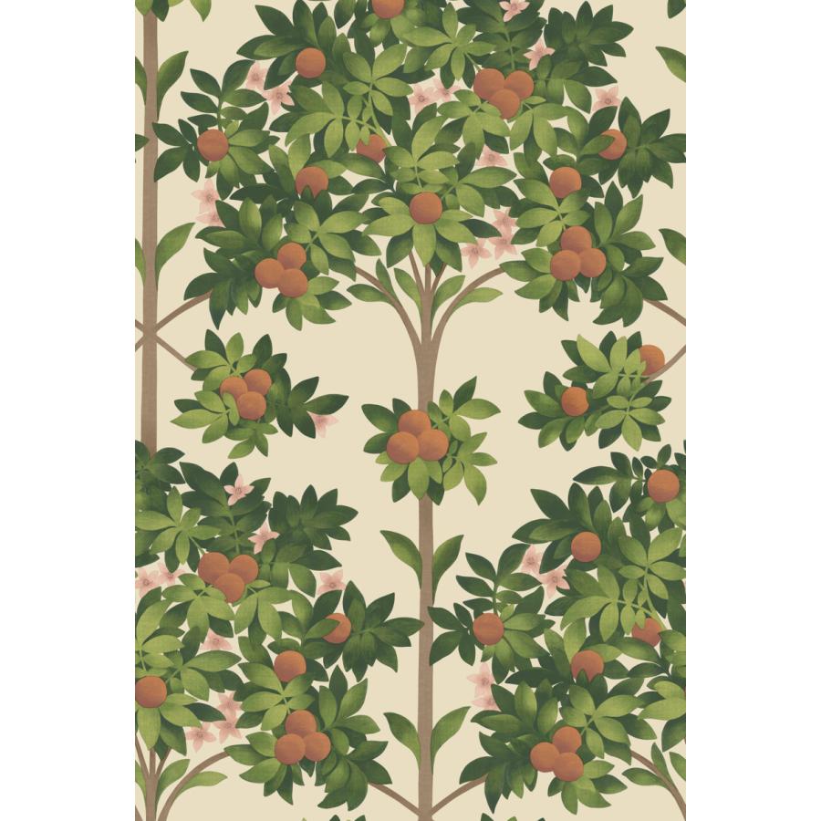 建物柄 スペイン オレンジの木 ボタニカル アンダルシア Cole＆Son コールアンドサン 貼り換え リノベ DIY 自分で 不織布 テシード 短納期