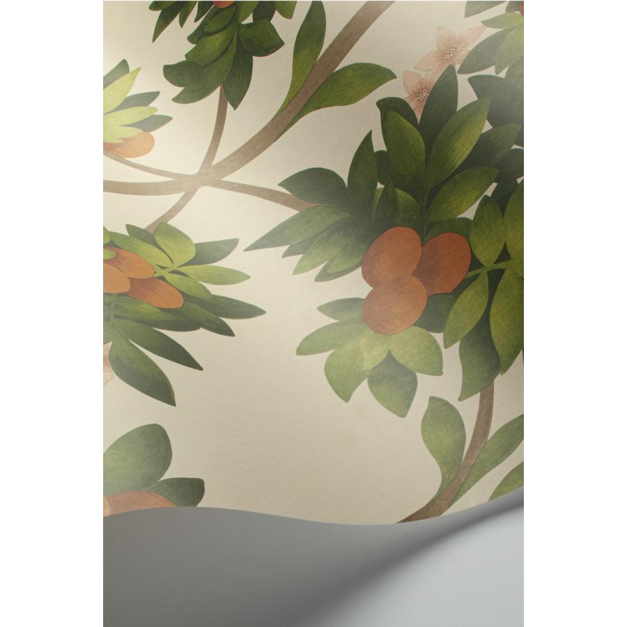 建物柄 スペイン オレンジの木 ボタニカル アンダルシア Cole＆Son コールアンドサン 貼り換え リノベ DIY 自分で 不織布 テシード 短納期
