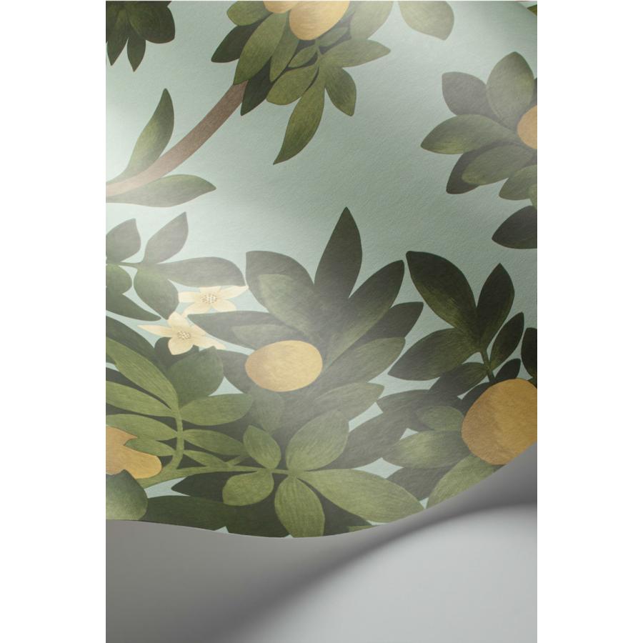 建物柄 スペイン オレンジの木 ボタニカル アンダルシア Cole＆Son コールアンドサン 貼り換え リノベ DIY 自分で 不織布 テシード 短納期