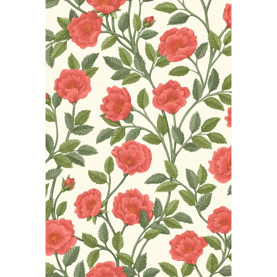 花柄 バラ ツル 優雅 おしゃれ Cole＆Son コール&サン 貼り換え リノベ DIY 自分で 不織布 テシード 短納期