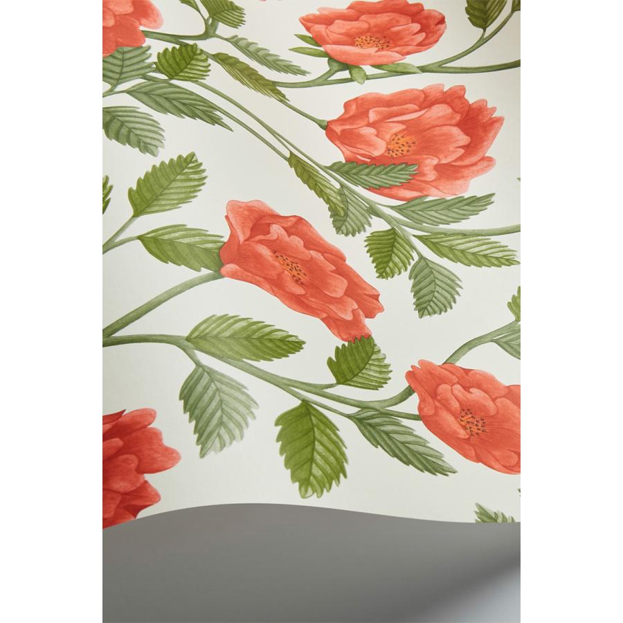 花柄 バラ ツル 優雅 おしゃれ Cole＆Son コール&サン 貼り換え リノベ DIY 自分で 不織布 テシード 短納期