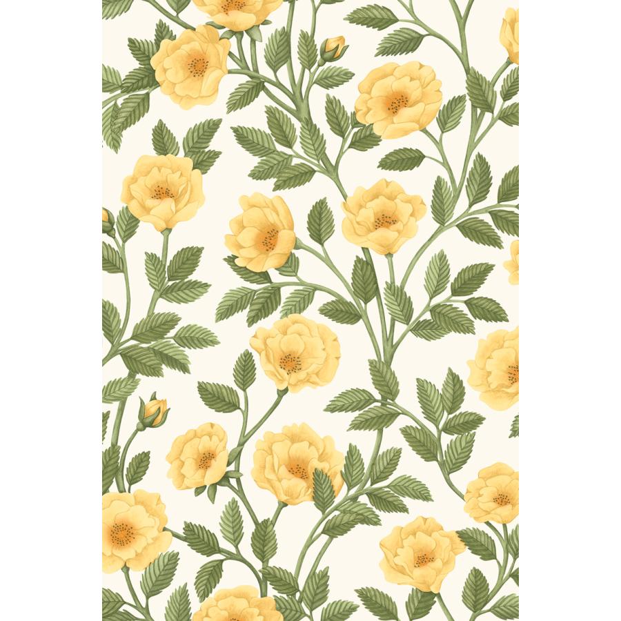 花柄 バラ ツル 優雅 おしゃれ Cole＆Son コール&サン 貼り換え リノベ DIY 自分で 不織布 テシード 短納期