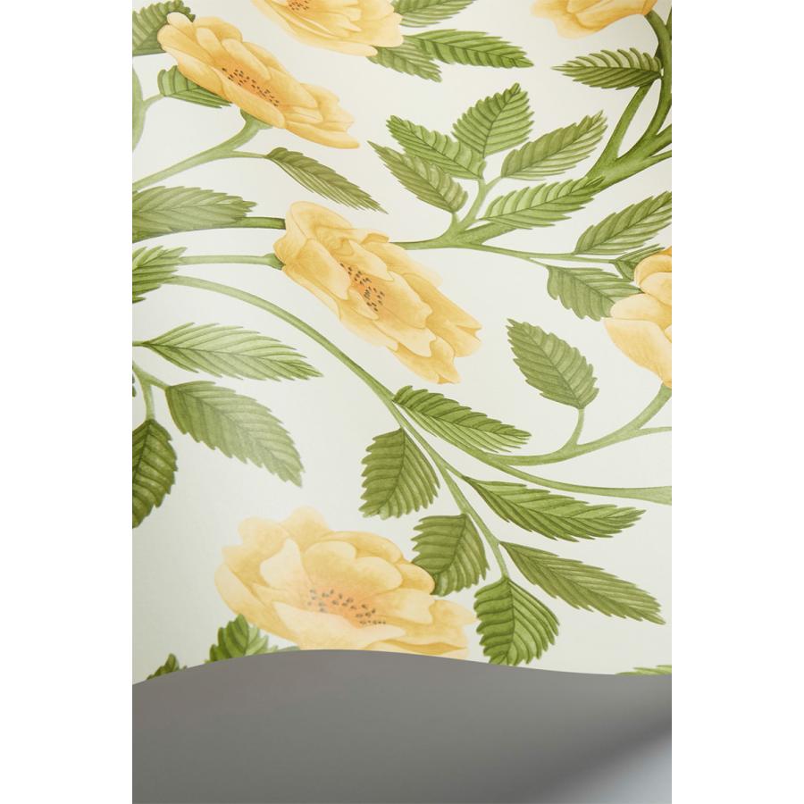 花柄 バラ ツル 優雅 おしゃれ Cole＆Son コール&サン 貼り換え リノベ DIY 自分で 不織布 テシード 短納期