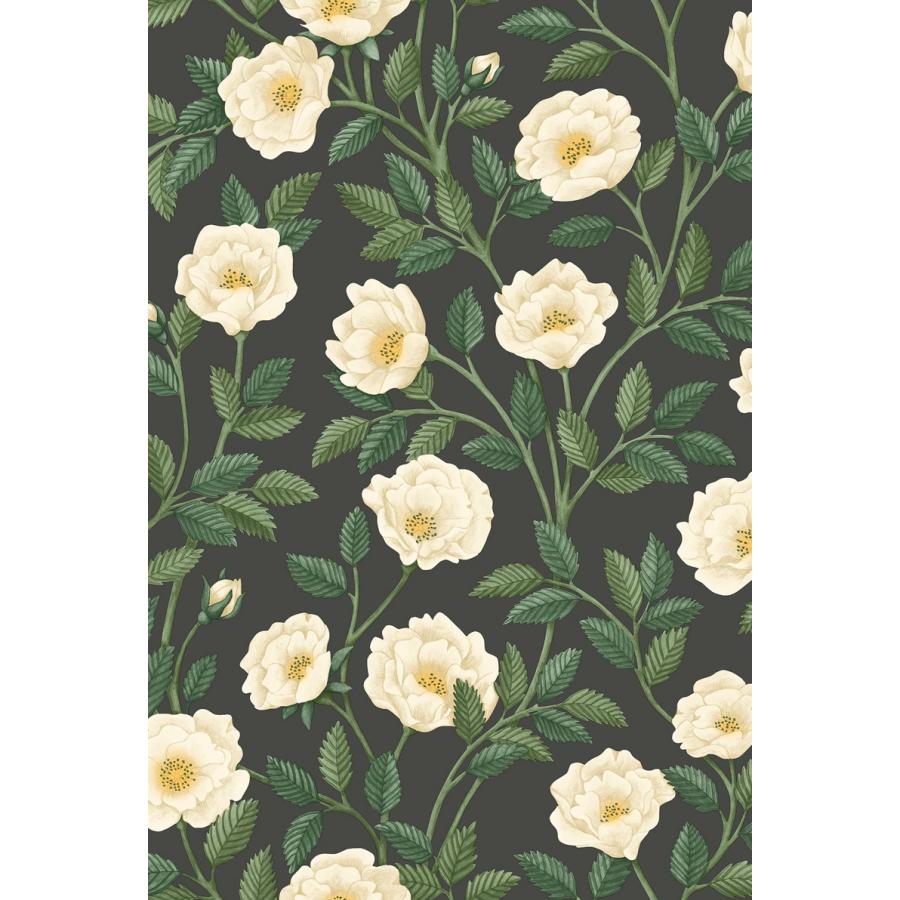 花柄 バラ ツル 優雅 おしゃれ Cole＆Son コール&サン 貼り換え リノベ DIY 自分で 不織布 テシード 短納期