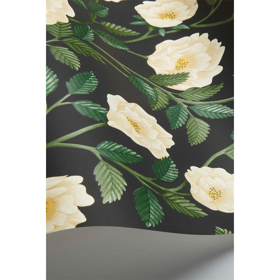 花柄 バラ ツル 優雅 おしゃれ Cole＆Son コール&サン 貼り換え リノベ DIY 自分で 不織布 テシード 短納期