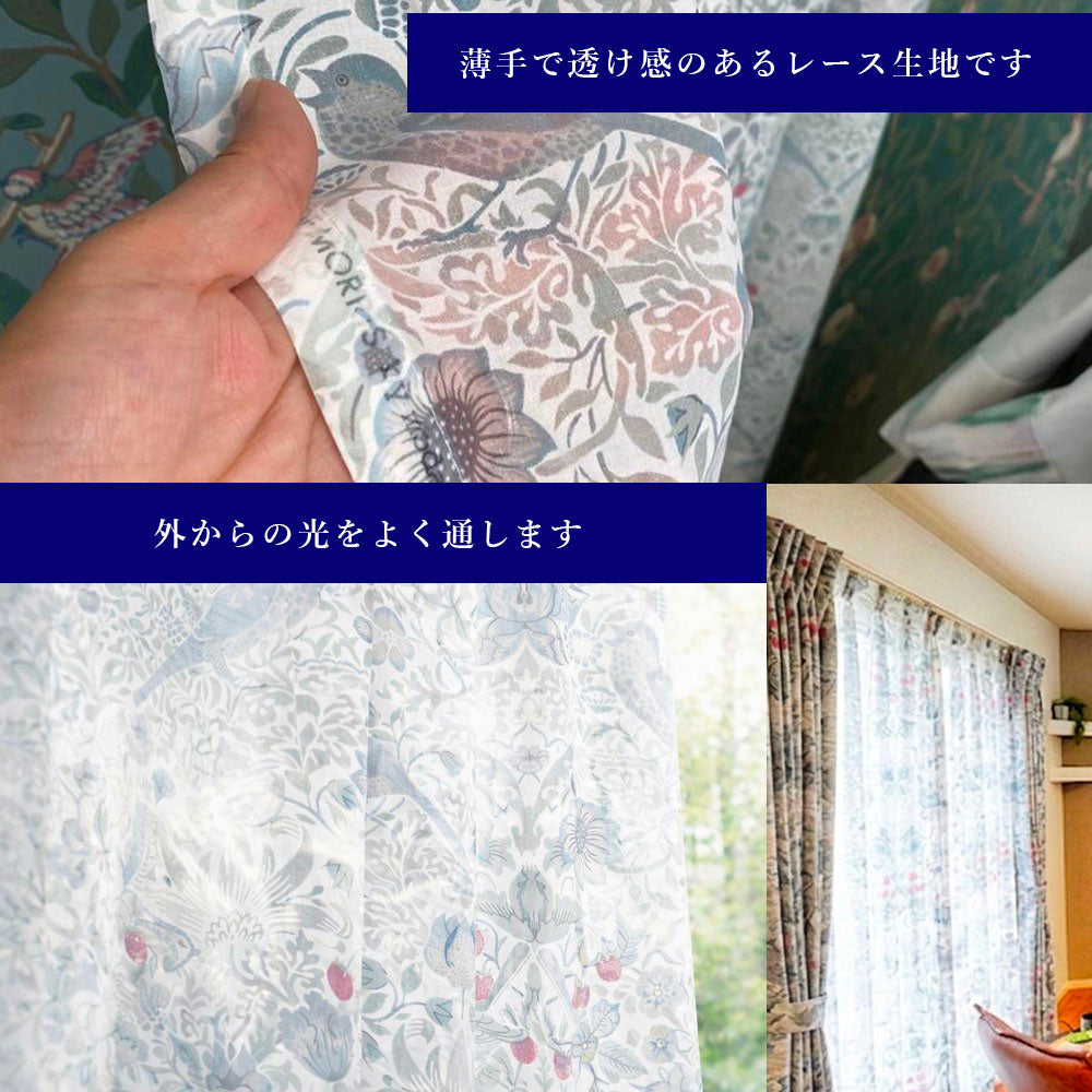 レースカーテン モリス柄 いちご泥棒 1.5倍ヒダ 透け感 薄手 幅100cm 2枚組 ボタニカル 花柄 コットン 柄 色 おしゃれ デザイン かわいい 日本製