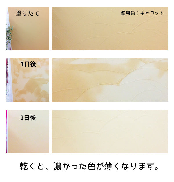 Vegetawall 塗り壁はじめてセット 漆喰16kg 塗り壁道具7点 ホワイトアスパラ - 4
